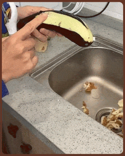 Everlast Stainless Steel Smart Peeler