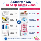 Toilet Cleaning Tablets - BUY 1 GET 1 FREE
